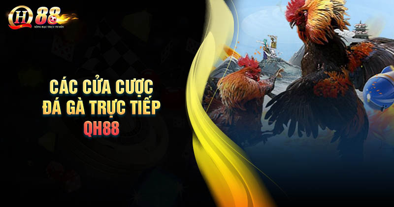 Các loại cửa cược tại đá gà trực tiếp QH88 cơ bản Các loại cửa đá gà trực tiếp QH88 cơ bản