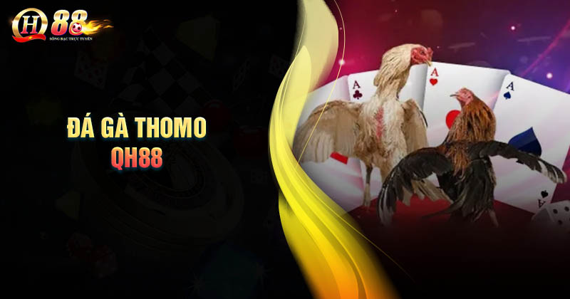 Tìm hiểu về trực tiếp đá gà Thomo Giới thiệu về trực tiếp đá gà Thomo