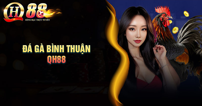 Tìm hiểu về tựa game đá gà Bình Thuận Giới thiệu về đá gà Bình Thuận QH88