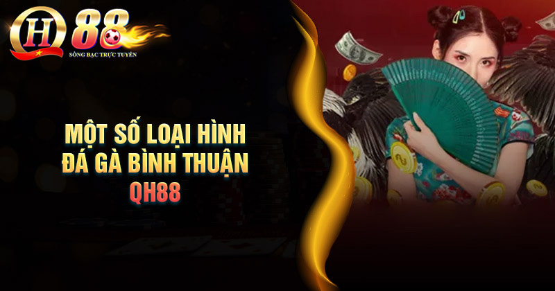 Điểm qua các loại hình đá gà Bình Thuận phổ biến nhất Một số loại hình đá gà Bình Thuận phổ biến